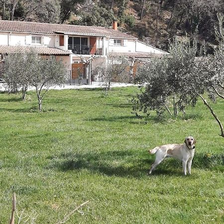 Villa Le Mas Des Oliviers Puget Exterior foto