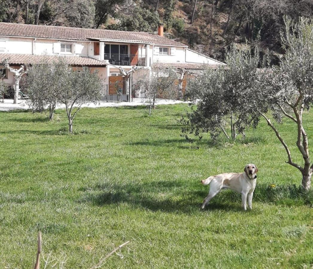 Villa Le Mas Des Oliviers Puget Exterior foto